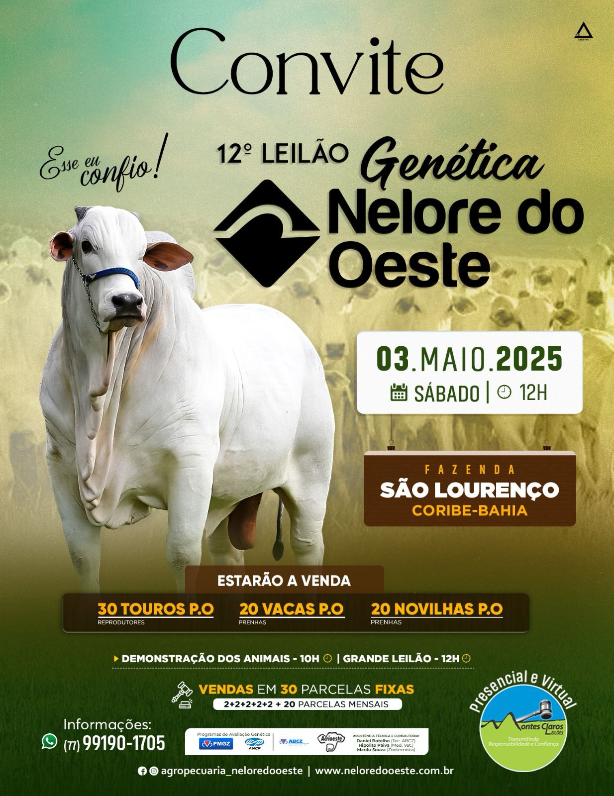 LEILAO